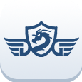 DG icon