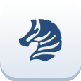 ZG icon